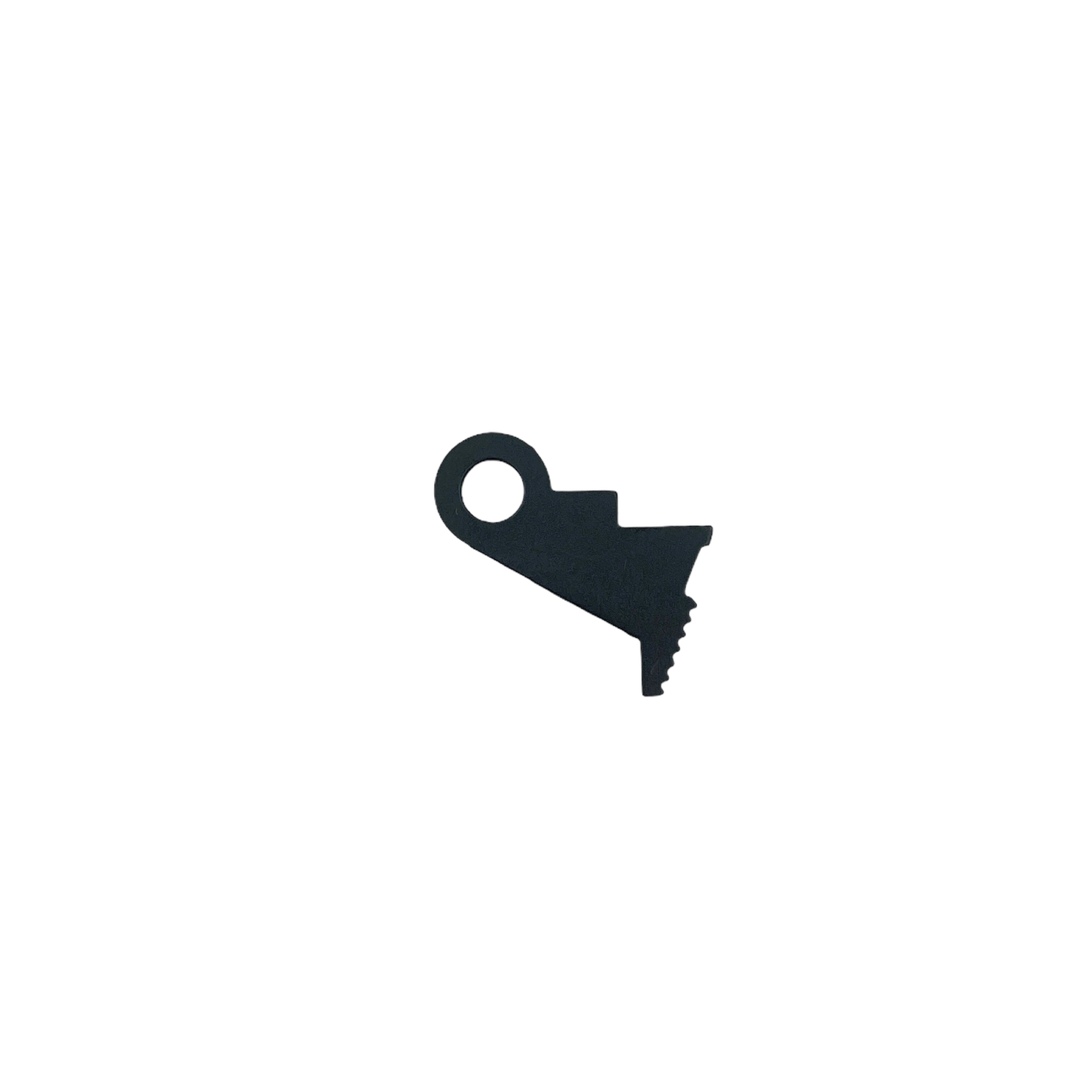 item.website_item_name