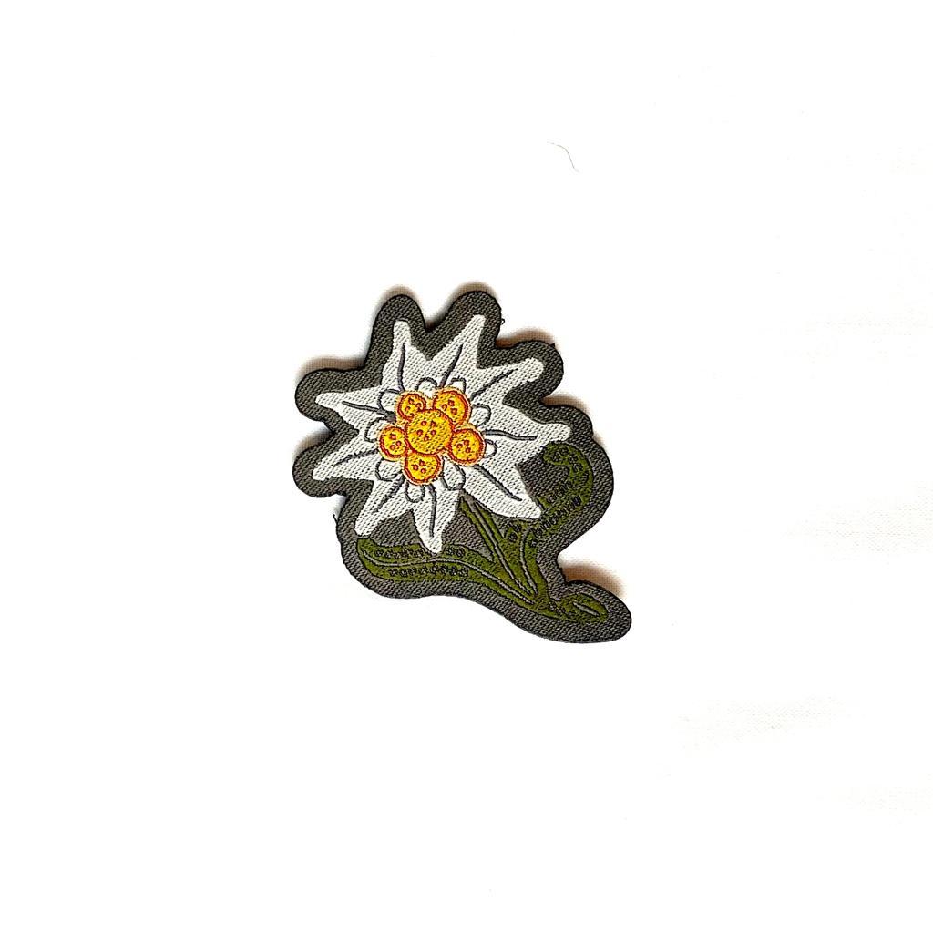 item.website_item_name